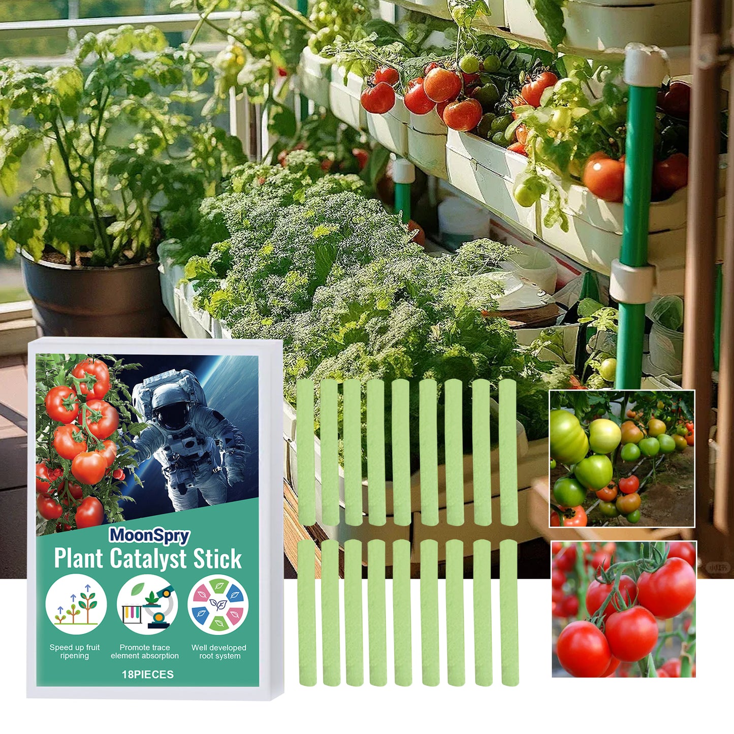 Plant Catalyst Stick, Plant Fruit And Vegetable Pot Flower Bud Flower Hair Root Growth Fertilizer Stick