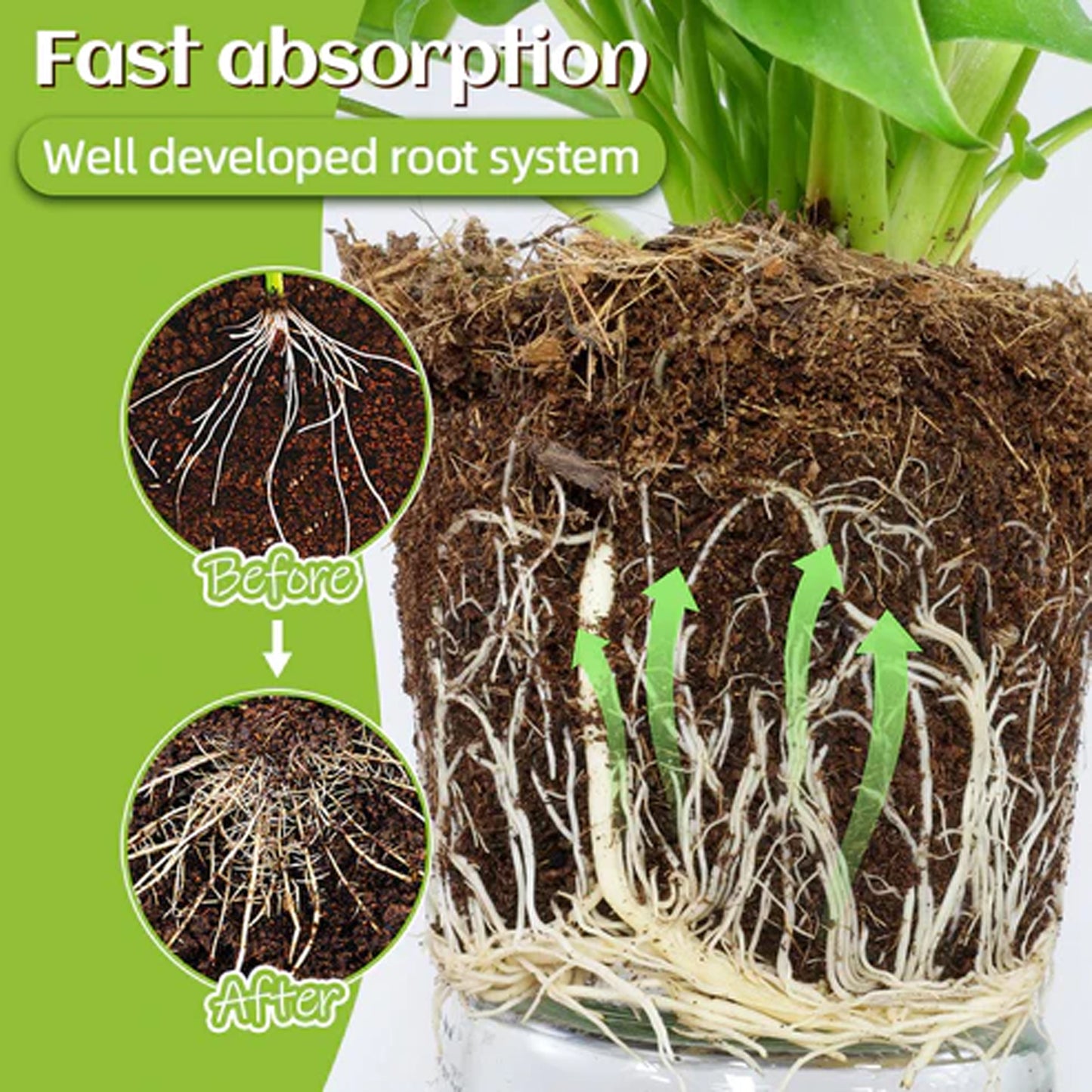 Plant Catalyst Stick, Plant Fruit And Vegetable Pot Flower Bud Flower Hair Root Growth Fertilizer Stick