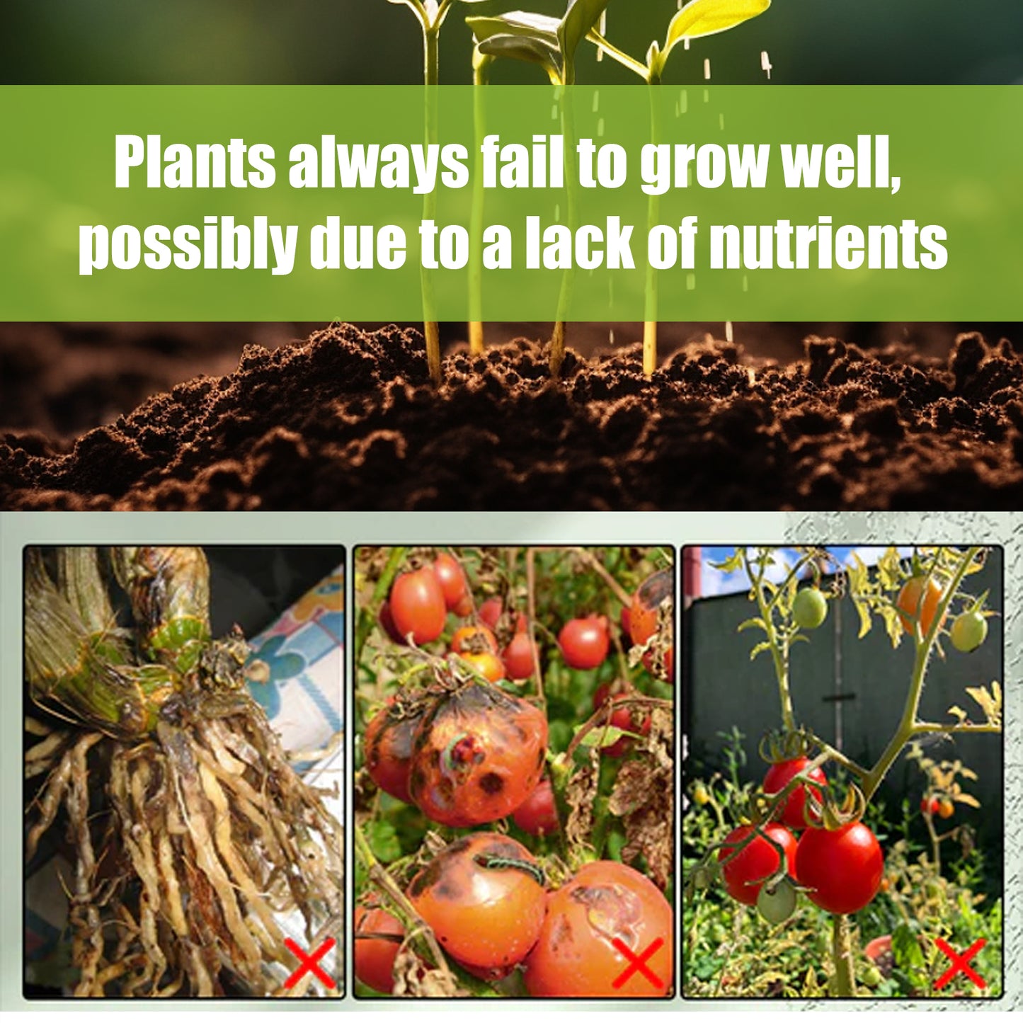 Plant Catalyst Stick, Plant Fruit And Vegetable Pot Flower Bud Flower Hair Root Growth Fertilizer Stick